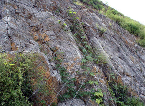 ����(d��ng)߅�·��o(h��)�W(w��ng)�m����ʲô����