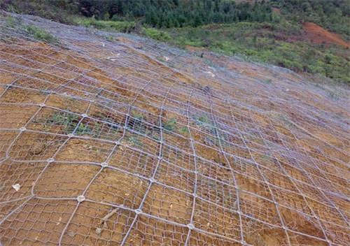 ����߅�·��o(h��)�W(w��ng)ʹ�Õr(sh��)��(y��ng)ע����Щ��(x��)��(ji��)��