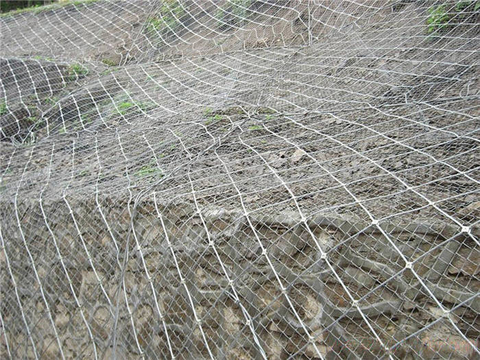 ����(d��ng)���o(h��)�W(w��ng)