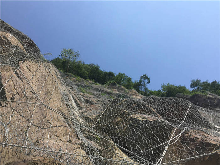 ����(d��ng)�ߏ�(qi��ng)�ӽ�W(w��ng)