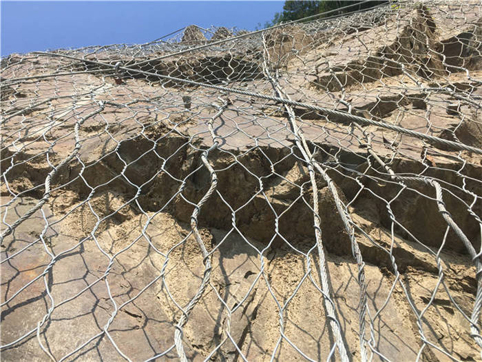 ����(d��ng)�ߏ�(qi��ng)�ӽ�W(w��ng)