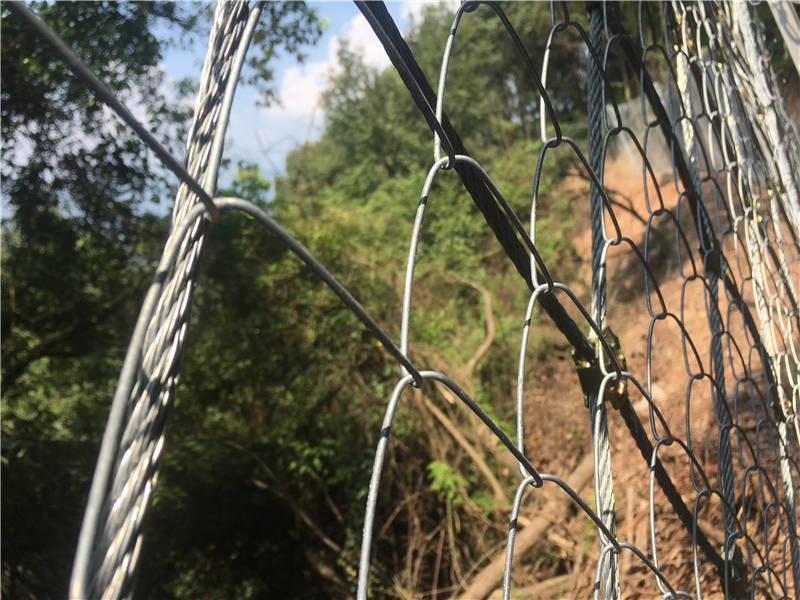 ���ӷ��o�W(w��ng)