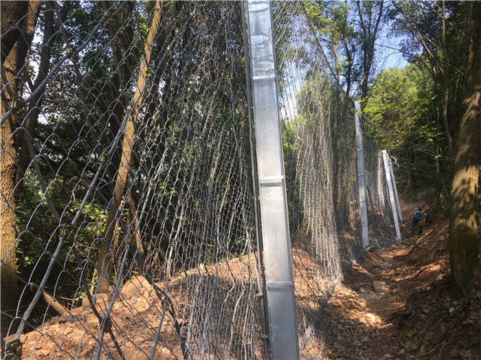 ���ӷ��o�W(w��ng)