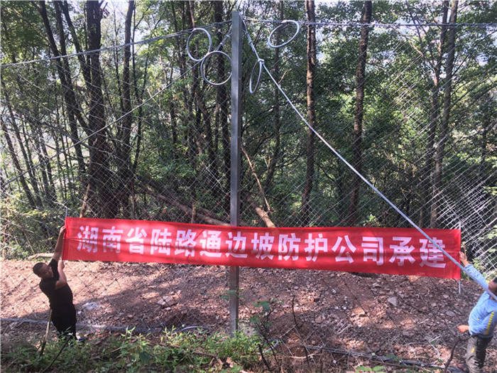 ����(d��ng)���o(h��)�W(w��ng)