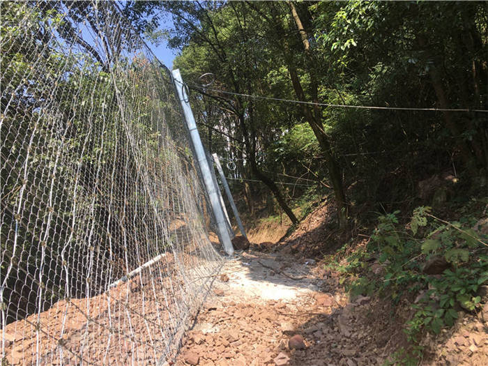 ����(d��ng)���o(h��)�W(w��ng)