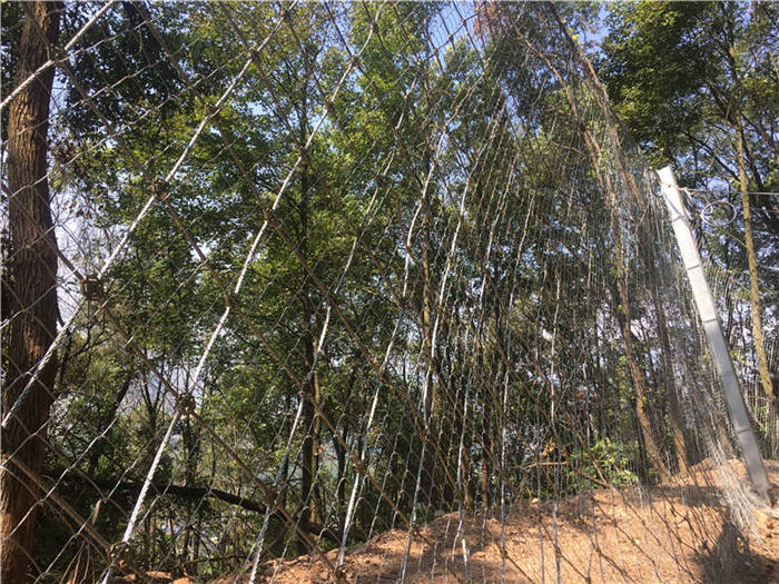 ����(d��ng)���o(h��)�W(w��ng)