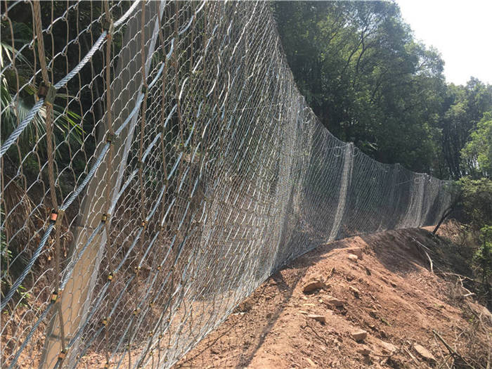 ����(d��ng)���o(h��)�W(w��ng)