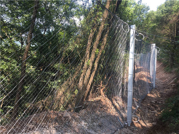 ����(d��ng)���o(h��)�W(w��ng)